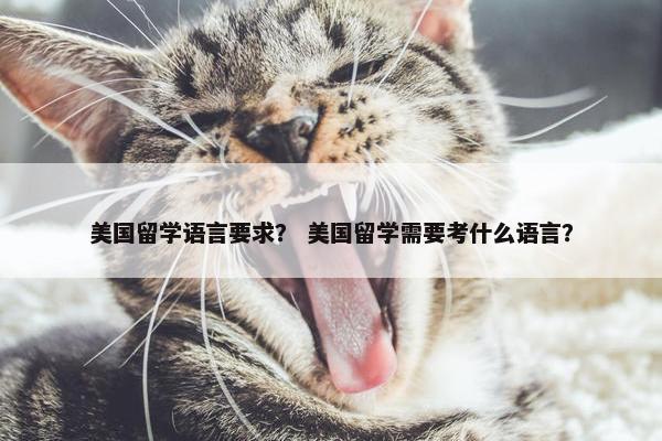 美国留学语言要求？ 美国留学需要考什么语言？