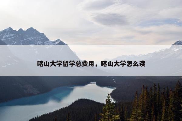 喀山大学留学总费用，喀山大学怎么读