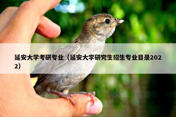 延安大学考研专业（延安大学研究生招生专业目录2022）