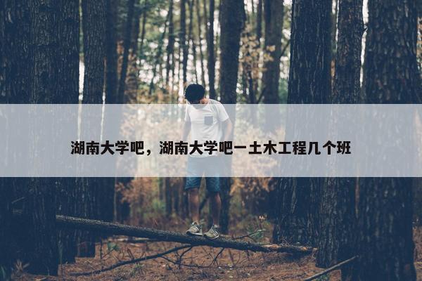 湖南大学吧，湖南大学吧一土木工程几个班
