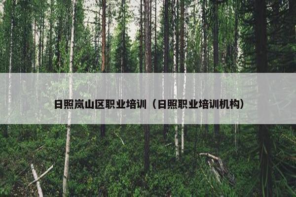 日照岚山区职业培训（日照职业培训机构）