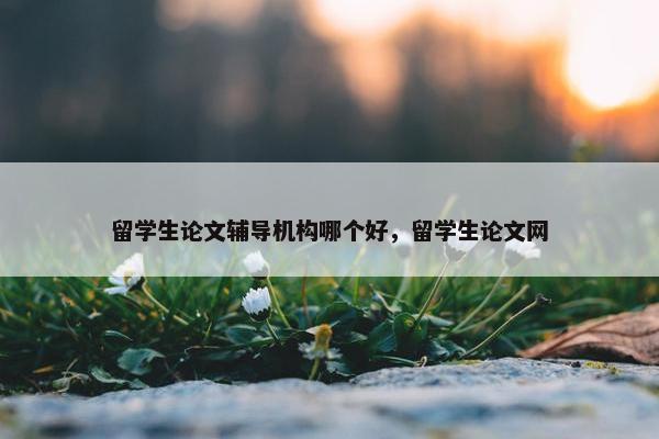 留学生论文辅导机构哪个好，留学生论文网