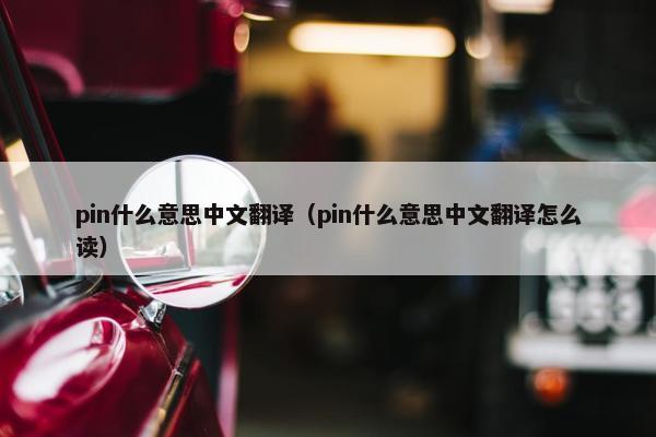 pin什么意思中文翻译（pin什么意思中文翻译怎么读）