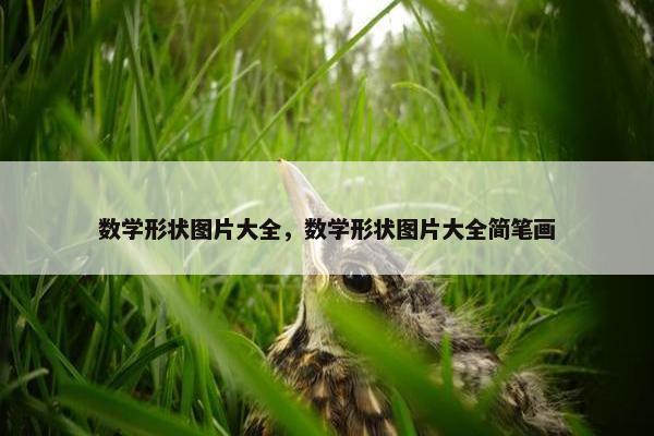 数学形状图片大全，数学形状图片大全简笔画