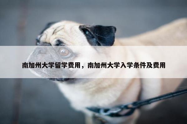 南加州大学留学费用，南加州大学入学条件及费用