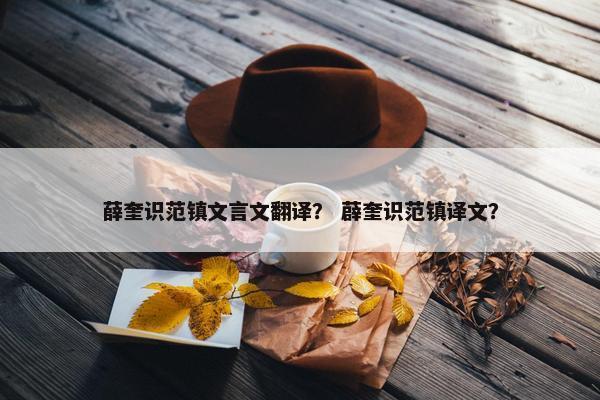 薛奎识范镇文言文翻译？ 薜奎识范镇译文？