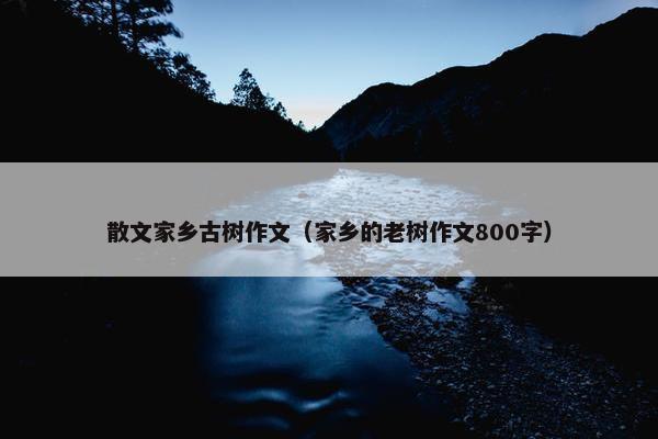 散文家乡古树作文（家乡的老树作文800字）