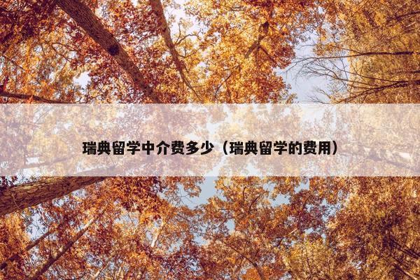 瑞典留学中介费多少（瑞典留学的费用）
