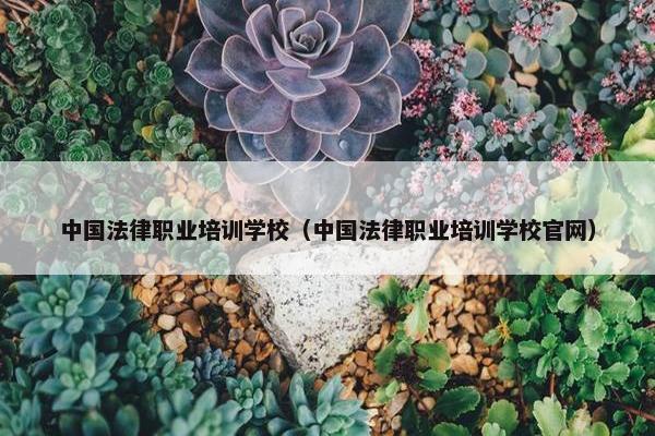 中国法律职业培训学校（中国法律职业培训学校官网）