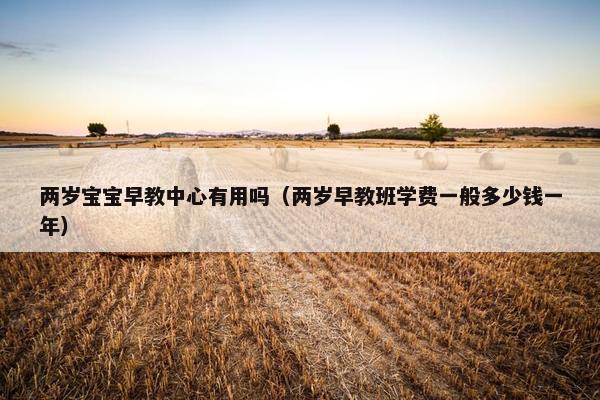 两岁宝宝早教中心有用吗（两岁早教班学费一般多少钱一年）