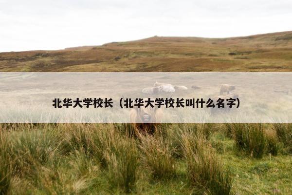 北华大学校长（北华大学校长叫什么名字）