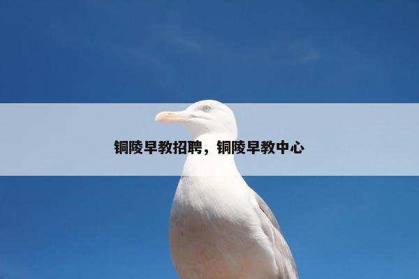 铜陵早教招聘，铜陵早教中心