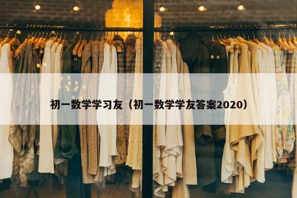 初一数学学习友（初一数学学友答案2020）