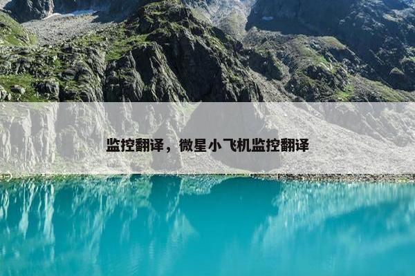 监控翻译，微星小飞机监控翻译