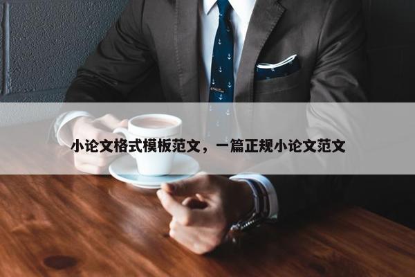 小论文格式模板范文，一篇正规小论文范文