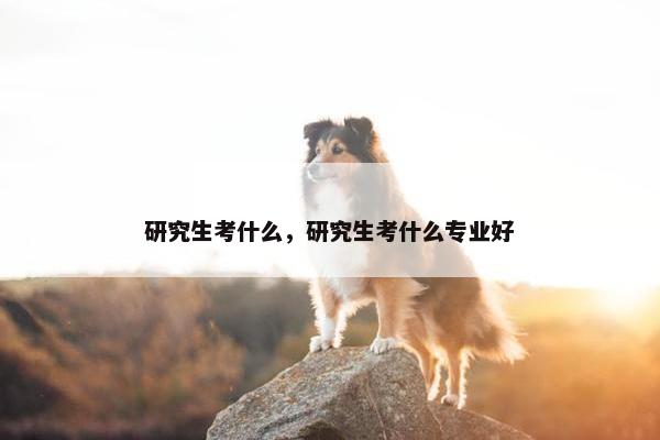 研究生考什么，研究生考什么专业好
