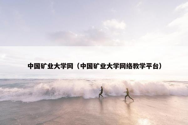 中国矿业大学网（中国矿业大学网络教学平台）