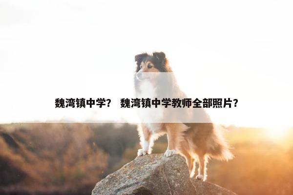 魏湾镇中学？ 魏湾镇中学教师全部照片？