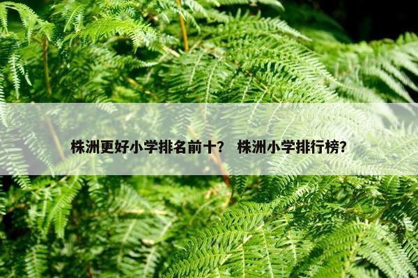 株洲更好小学排名前十？ 株洲小学排行榜？