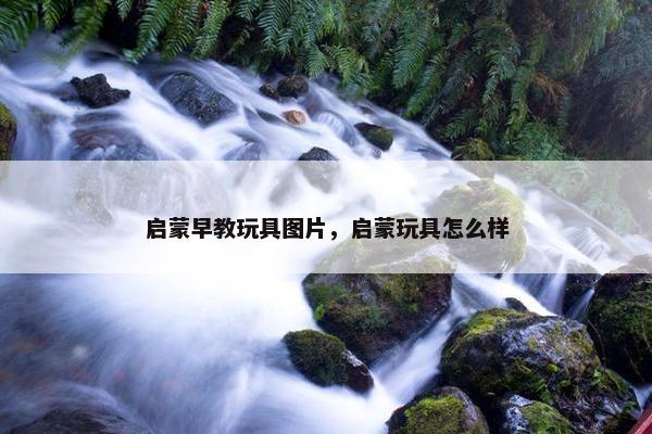 启蒙早教玩具图片，启蒙玩具怎么样