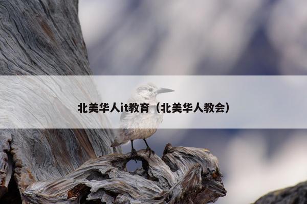 北美华人it教育（北美华人教会）