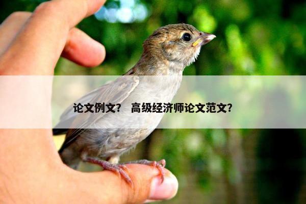 论文例文？ 高级经济师论文范文？