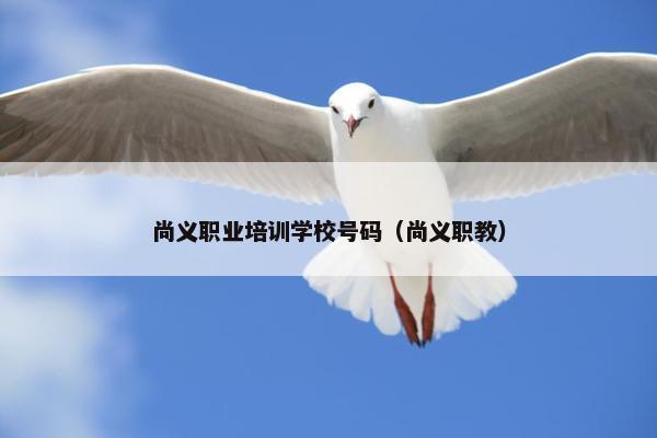 尚义职业培训学校号码（尚义职教）