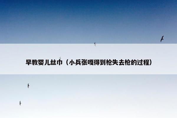 早教婴儿丝巾（小兵张嘎得到枪失去枪的过程）