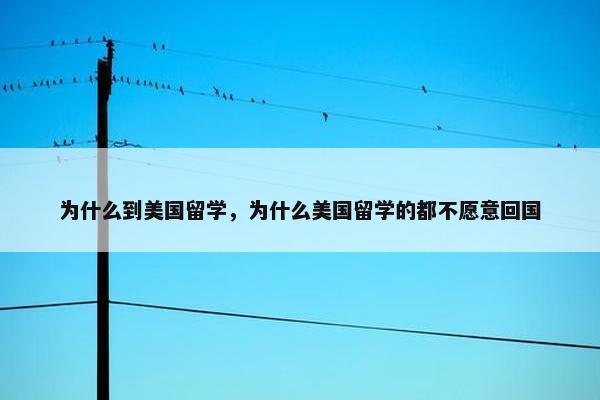 为什么到美国留学，为什么美国留学的都不愿意回国