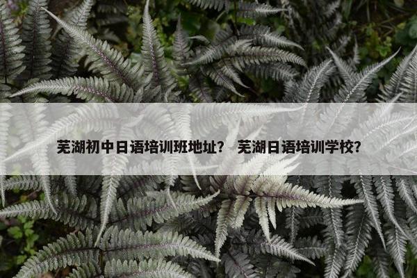 芜湖初中日语培训班地址？ 芜湖日语培训学校？