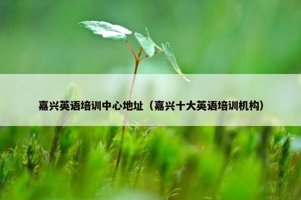 嘉兴英语培训中心地址（嘉兴十大英语培训机构）