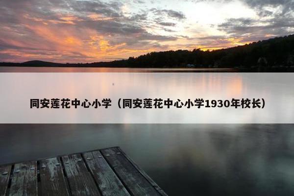 同安莲花中心小学（同安莲花中心小学1930年校长）