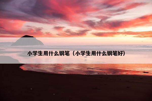小学生用什么钢笔（小学生用什么钢笔好）
