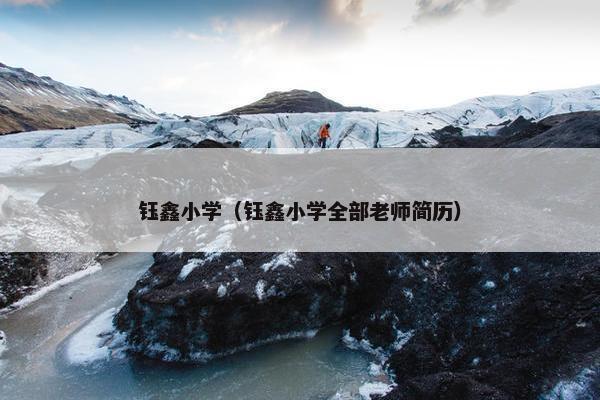 钰鑫小学（钰鑫小学全部老师简历）