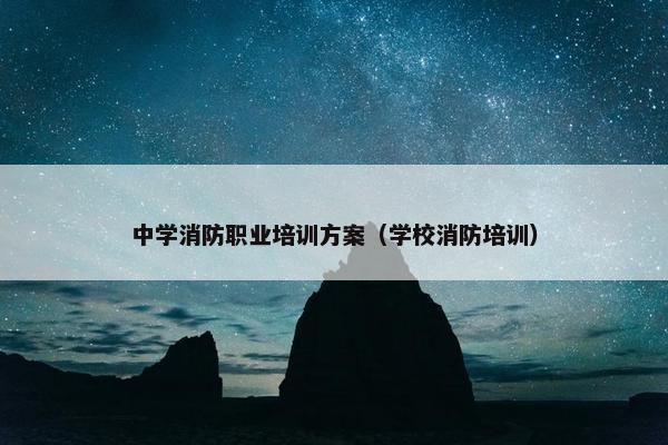 中学消防职业培训方案（学校消防培训）