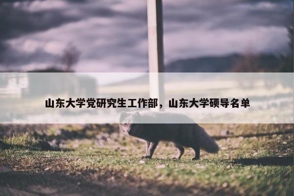 山东大学党研究生工作部，山东大学硕导名单