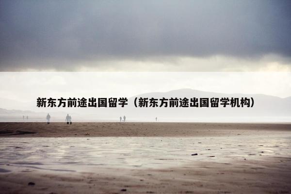 新东方前途出国留学（新东方前途出国留学机构）