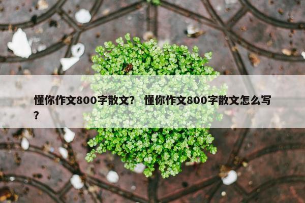 懂你作文800字散文？ 懂你作文800字散文怎么写？