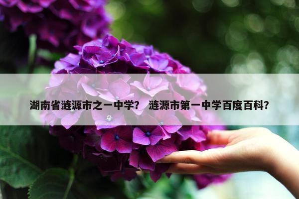 湖南省涟源市之一中学？ 涟源市第一中学百度百科？