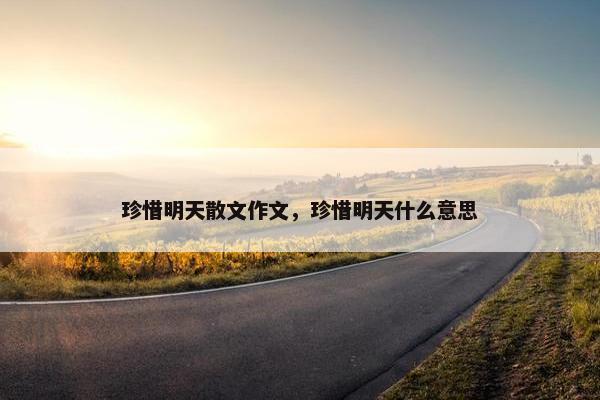 珍惜明天散文作文，珍惜明天什么意思