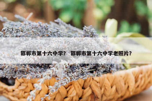 邯郸市第十六中学？ 邯郸市第十六中学老照片？