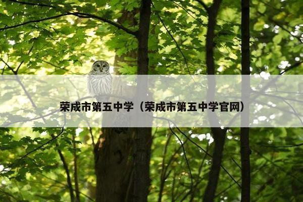 荣成市第五中学（荣成市第五中学官网）