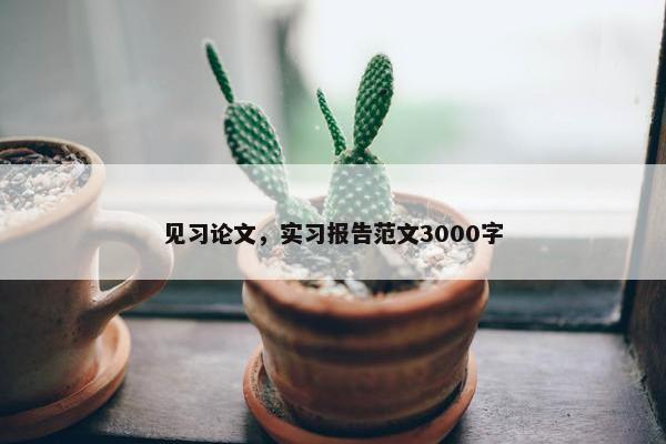 见习论文，实习报告范文3000字
