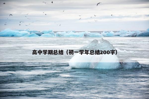高中学期总结（初一学年总结200字）
