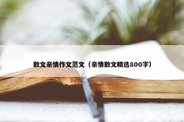 散文亲情作文范文（亲情散文精选800字）