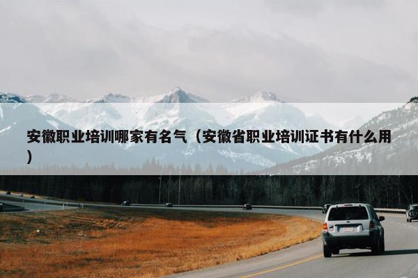 安徽职业培训哪家有名气（安徽省职业培训证书有什么用）