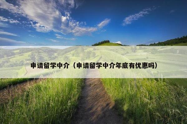 申请留学中介（申请留学中介年底有优惠吗）