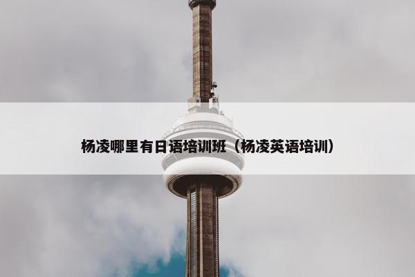 杨凌哪里有日语培训班（杨凌英语培训）