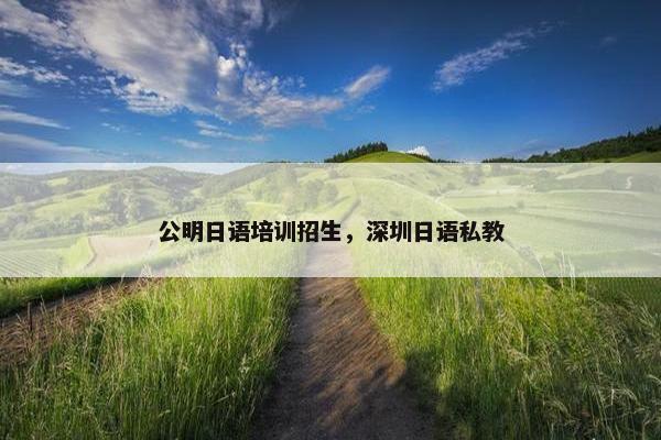 公明日语培训招生，深圳日语私教
