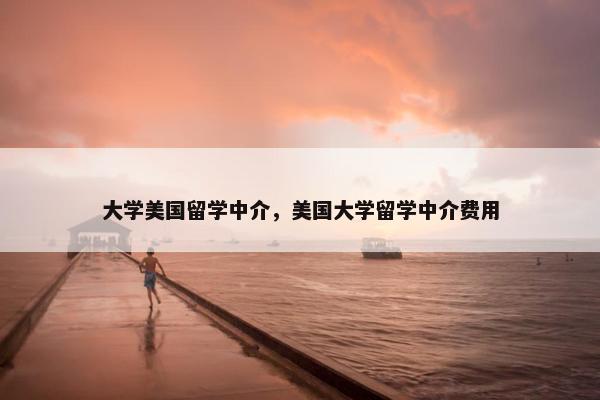 大学美国留学中介，美国大学留学中介费用